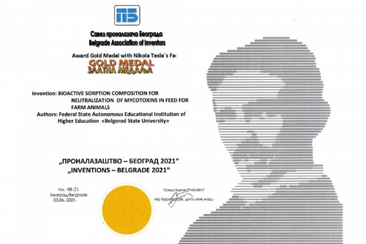 Научные разработки НИУ «БелГУ» – золотые призеры Международной выставки изобретений в Белграде